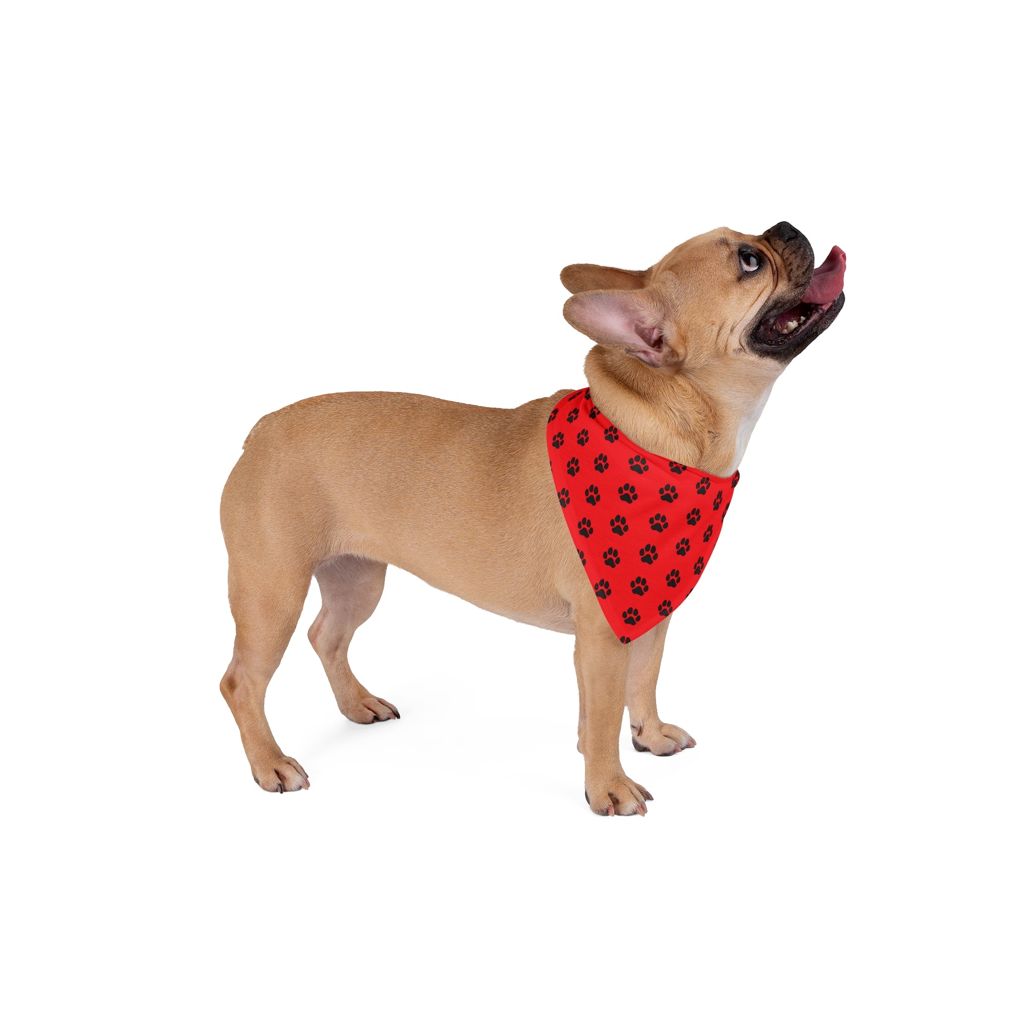 Stylish Pet Bandana for Dogs, Cute Dog Accessory, Perfect for Holidays and Pet Photos, Adorable Pup Gear