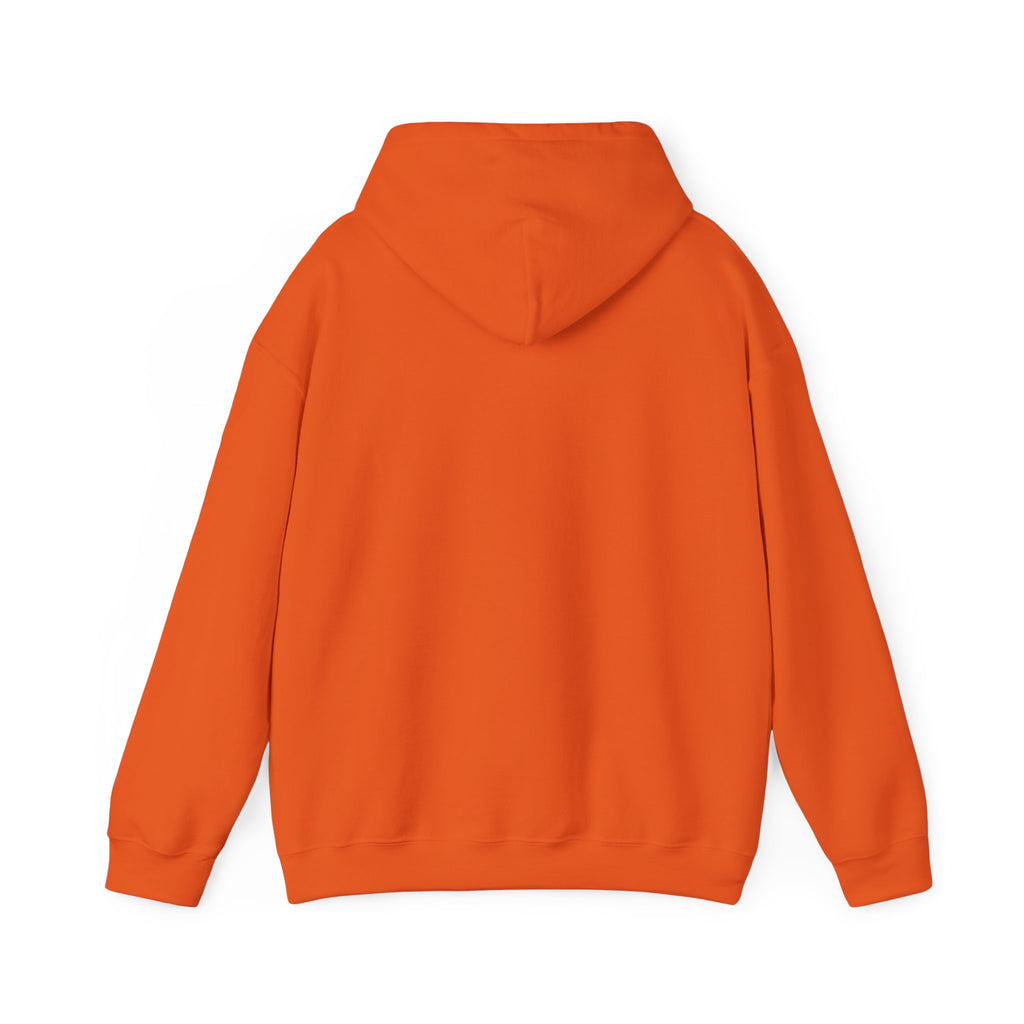 Be Our Ghost Hoodie: Unisex Sweatshirt for Halloween, Cozy Casual Wear, Unique Gift, Fall Celebrations, Trendy Spook