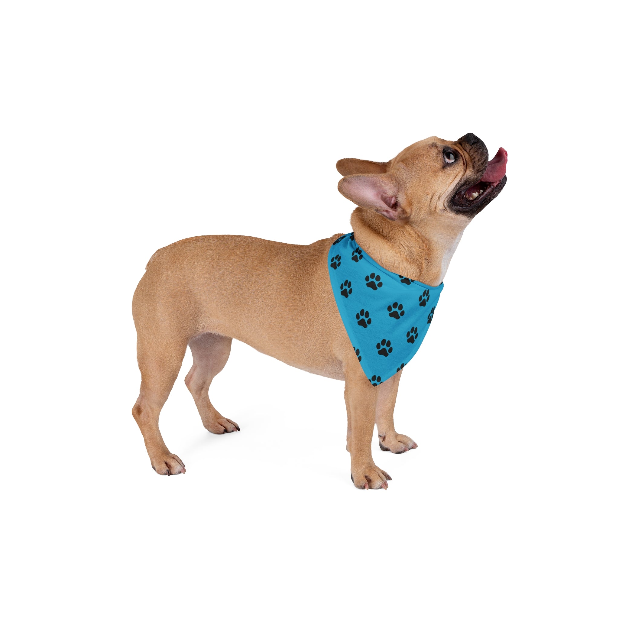 Stylish Pet Bandana, Cute Dog Accessory for Daily Walks, Pet Gifts, Dog Birthday Celebration, Travel Gear, Cozy Petwear