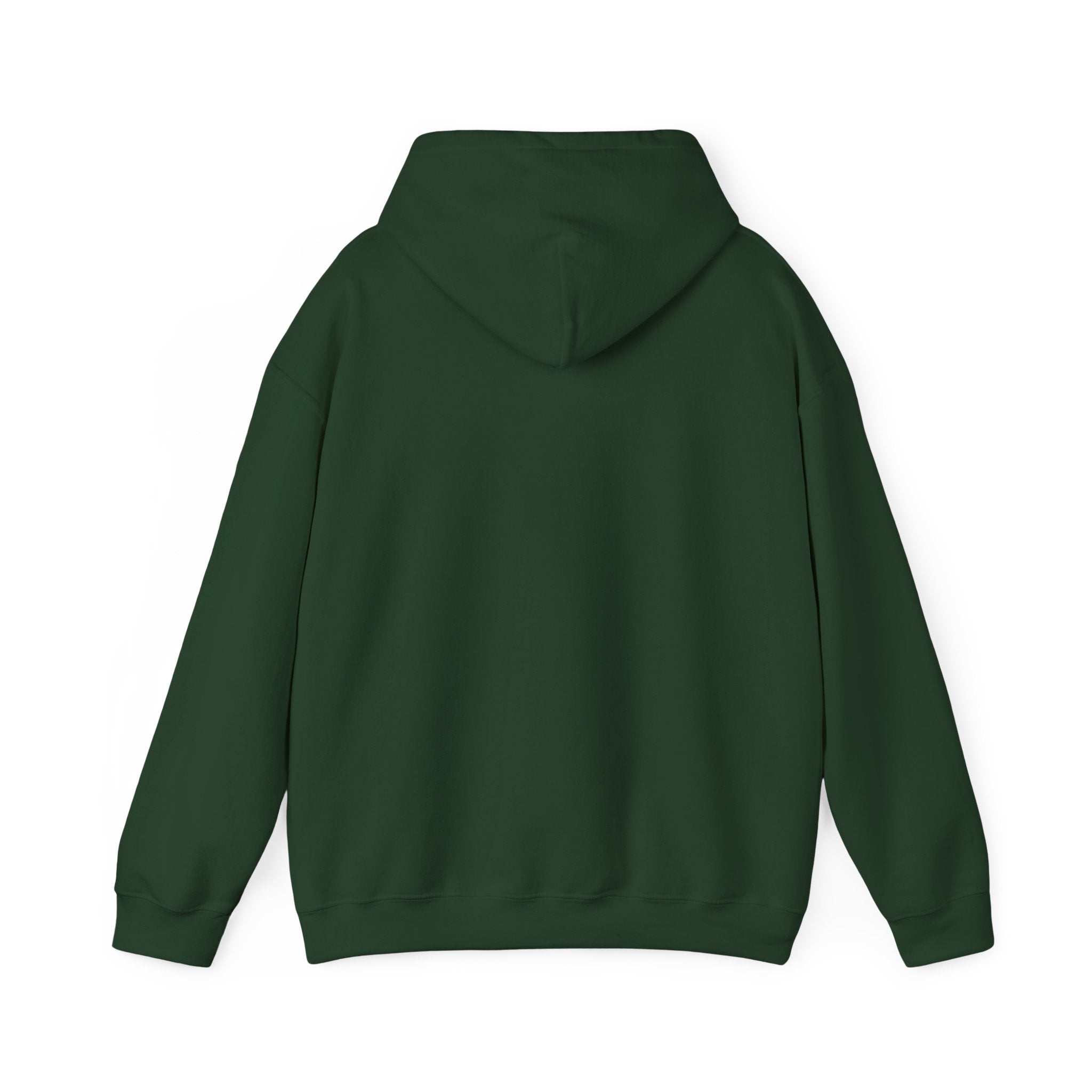 Wicked Witch of the West Hoodie, Unisex Sweatshirt for Halloween, Cozy Gift for Witch Lovers, Spooky Season Apparel, Unique Witch Design