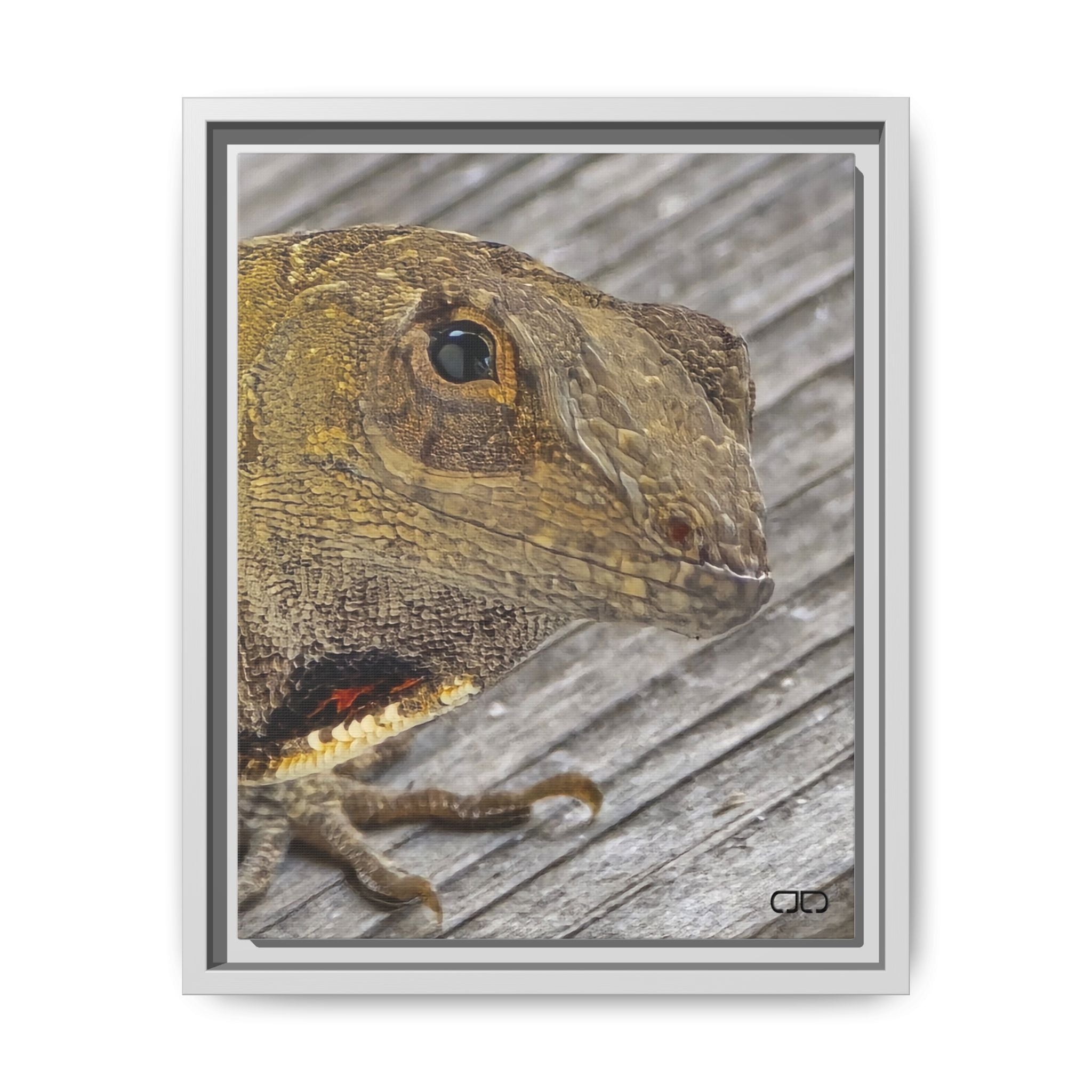 Brown Anole Art Print | Multi-color Reptile Decor | Home & Office Wall Art, Nature Lover Gift, Unique Animal Artwork, Birthday Decor