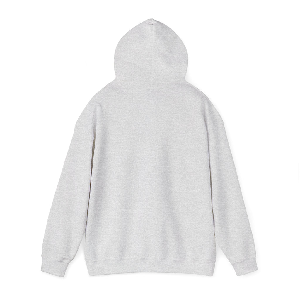 Wicked Witch of the West Hoodie, Unisex Sweatshirt for Halloween, Cozy Gift for Witch Lovers, Spooky Season Apparel, Unique Witch Design