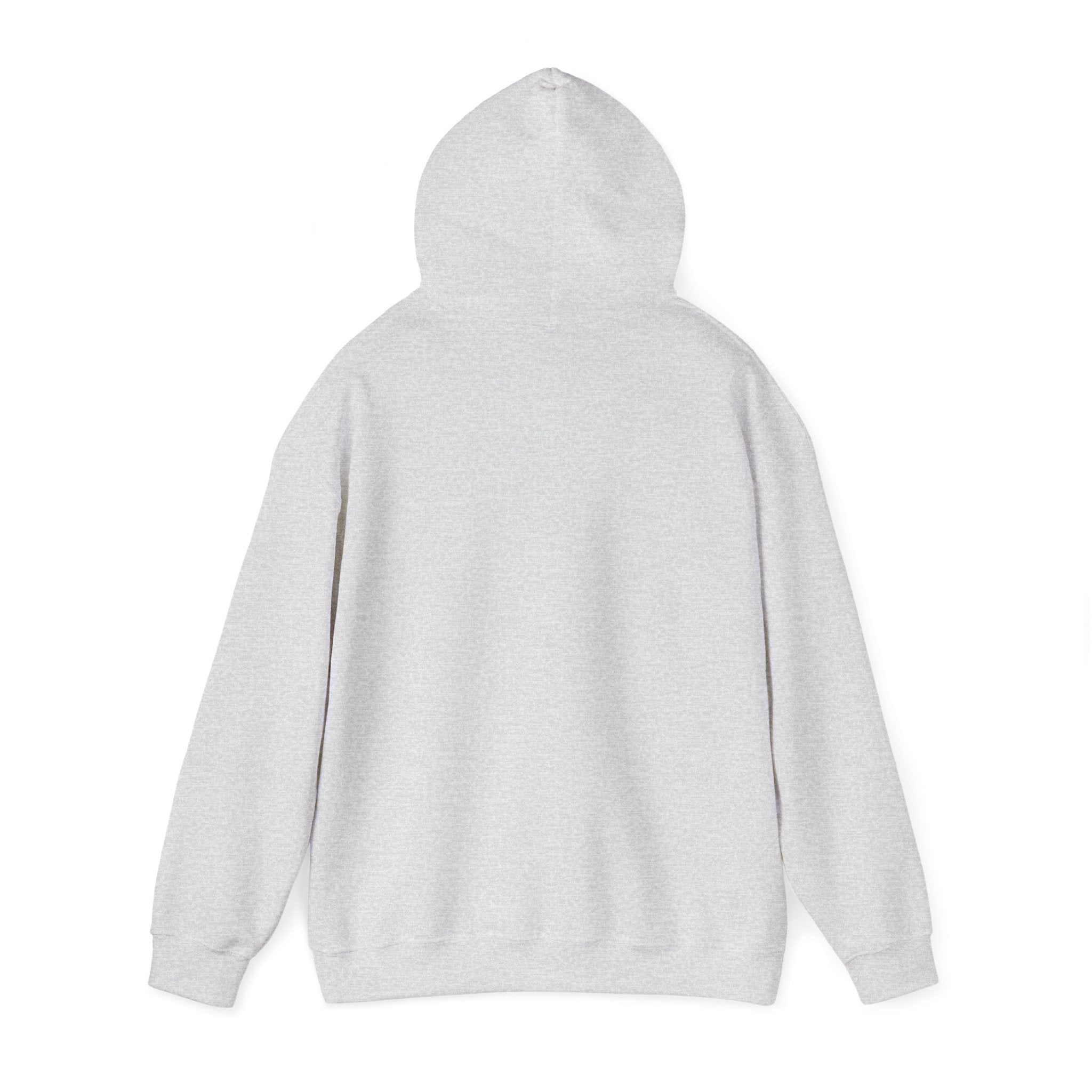 Wicked Witch of the West Hoodie, Unisex Sweatshirt for Halloween, Cozy Gift for Witch Lovers, Spooky Season Apparel, Unique Witch Design