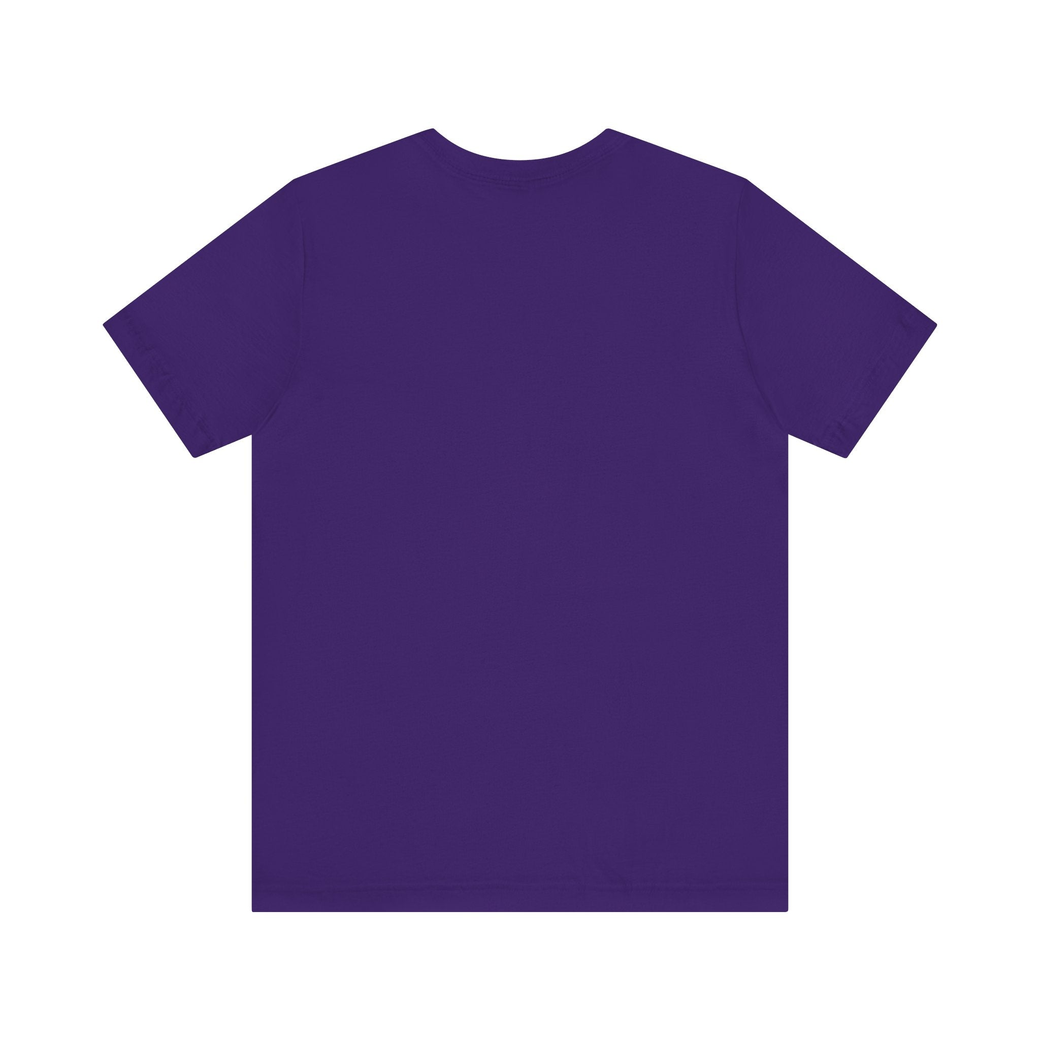 Liquor & Lasix Fun Graphic T-Shirt for Horse Lovers, Gifting, Casual Wear, Everyday Style, Trendy Fashion