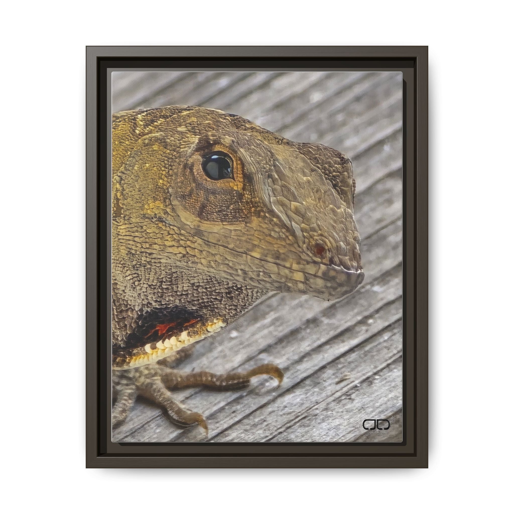 Brown Anole Art Print | Multi-color Reptile Decor | Home & Office Wall Art, Nature Lover Gift, Unique Animal Artwork, Birthday Decor