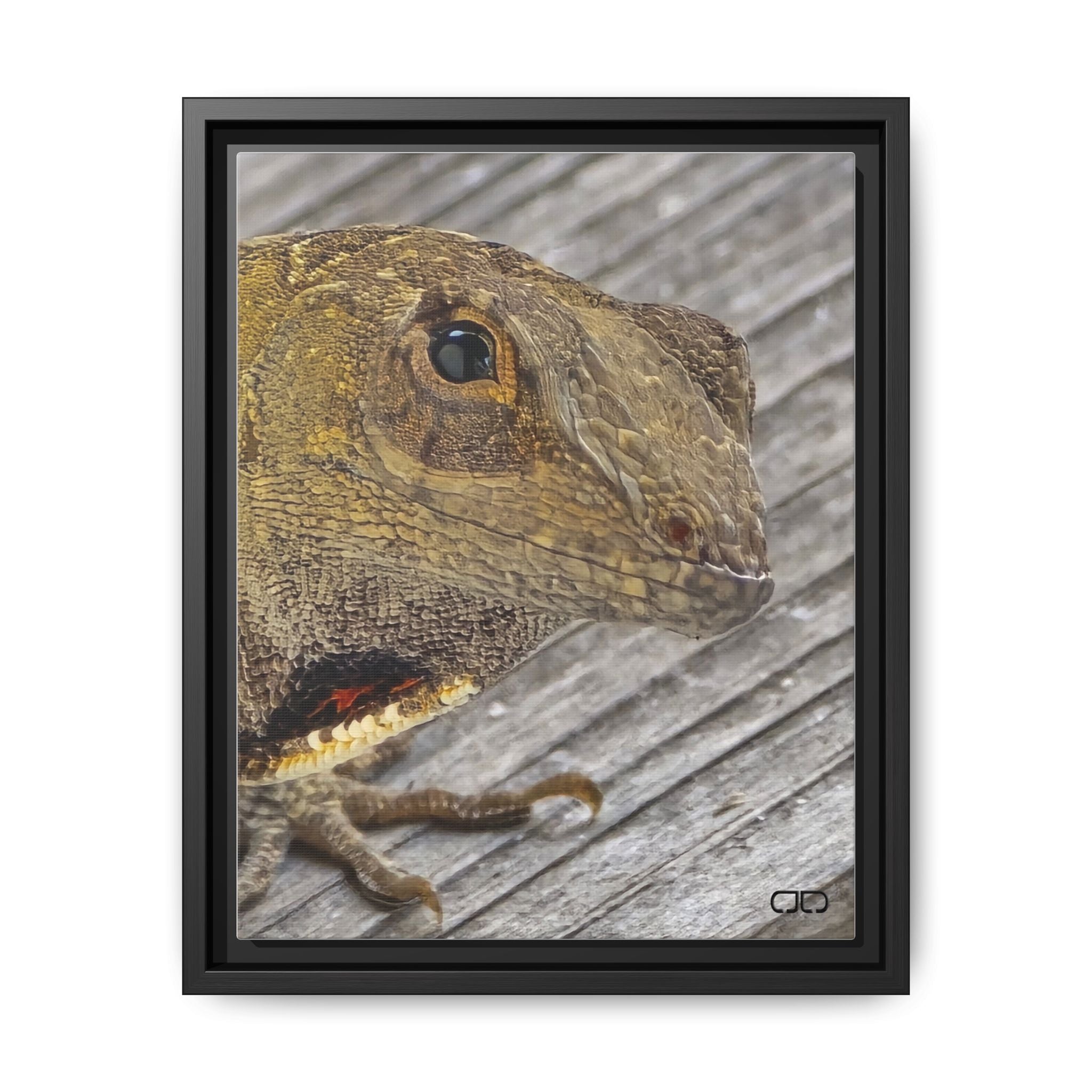 Brown Anole Art Print | Multi-color Reptile Decor | Home & Office Wall Art, Nature Lover Gift, Unique Animal Artwork, Birthday Decor