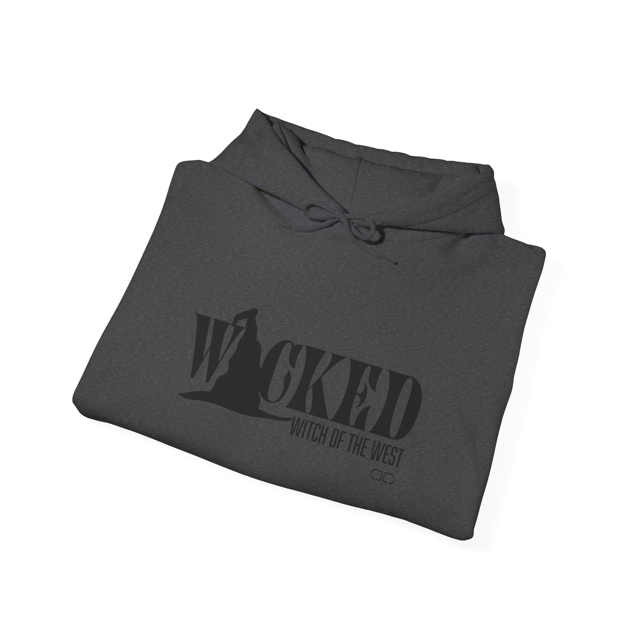 Wicked Witch of the West Hoodie, Unisex Sweatshirt for Halloween, Cozy Gift for Witch Lovers, Spooky Season Apparel, Unique Witch Design
