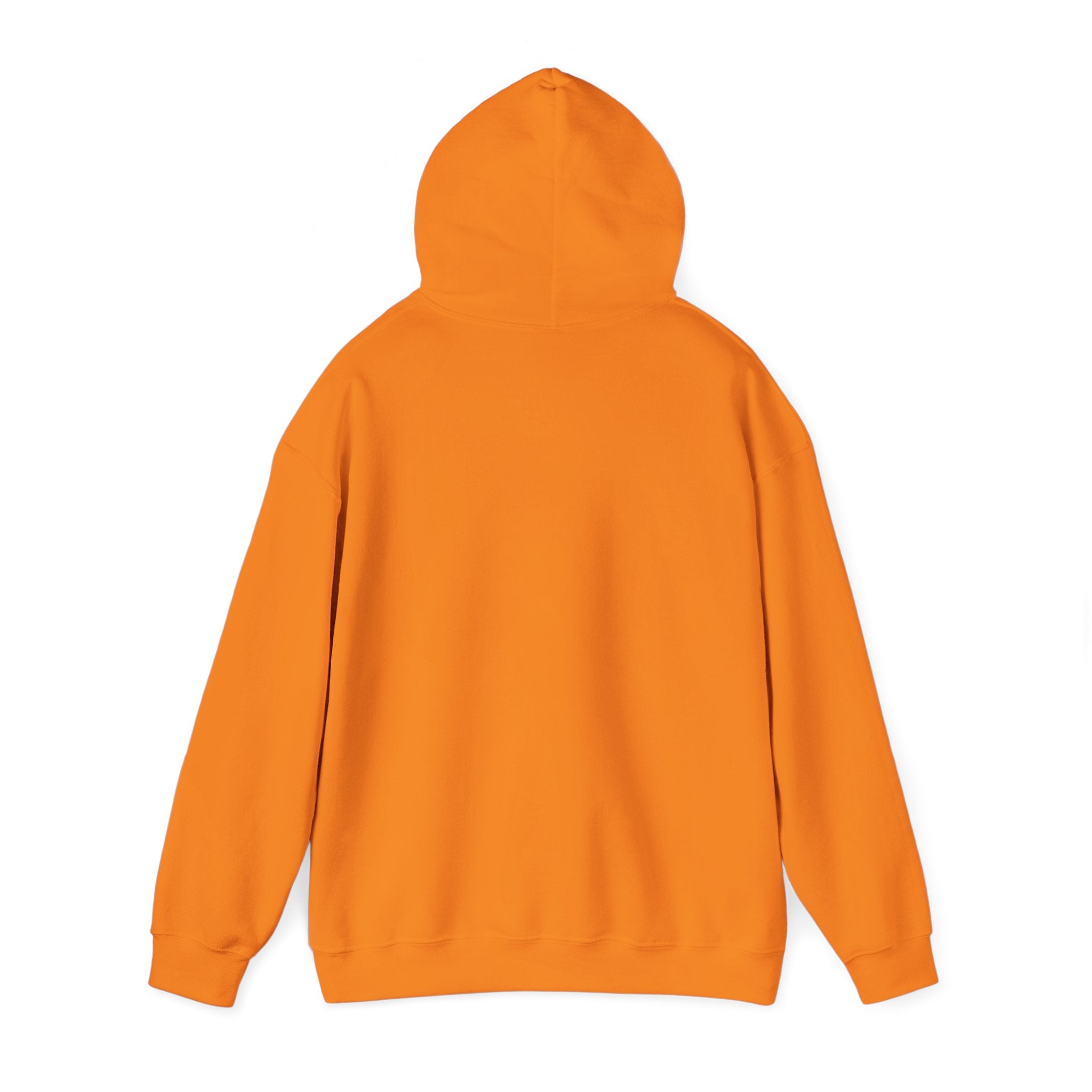 Wicked Witch of the West Hoodie, Unisex Sweatshirt for Halloween, Cozy Gift for Witch Lovers, Spooky Season Apparel, Unique Witch Design