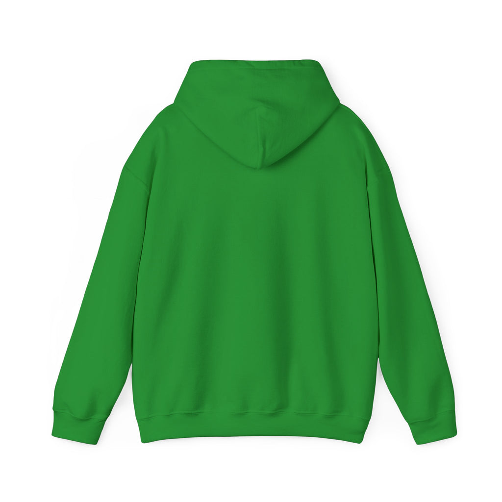 Wicked Witch of the West Hoodie, Unisex Sweatshirt for Halloween, Cozy Gift for Witch Lovers, Spooky Season Apparel, Unique Witch Design