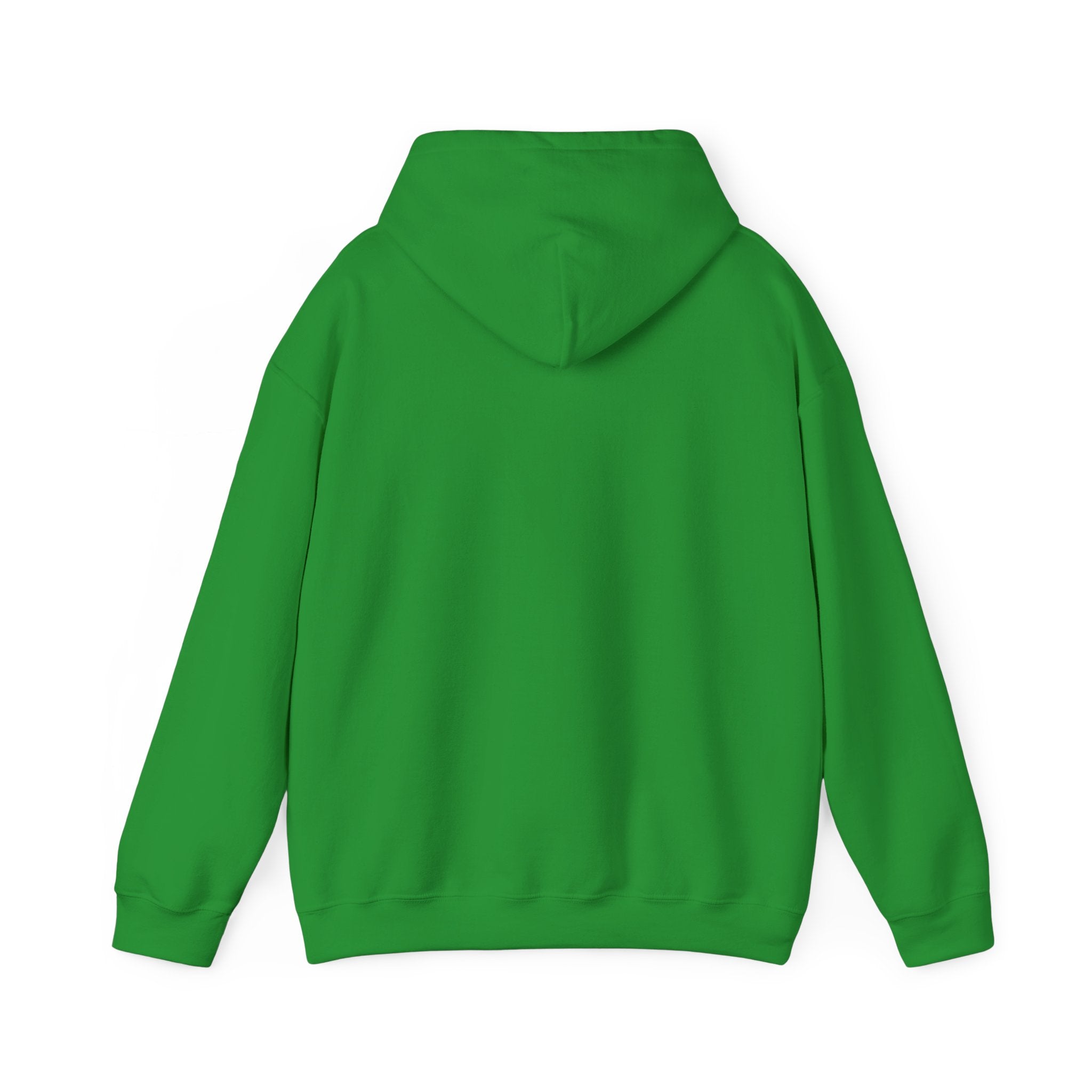 Wicked Witch of the West Hoodie, Unisex Sweatshirt for Halloween, Cozy Gift for Witch Lovers, Spooky Season Apparel, Unique Witch Design