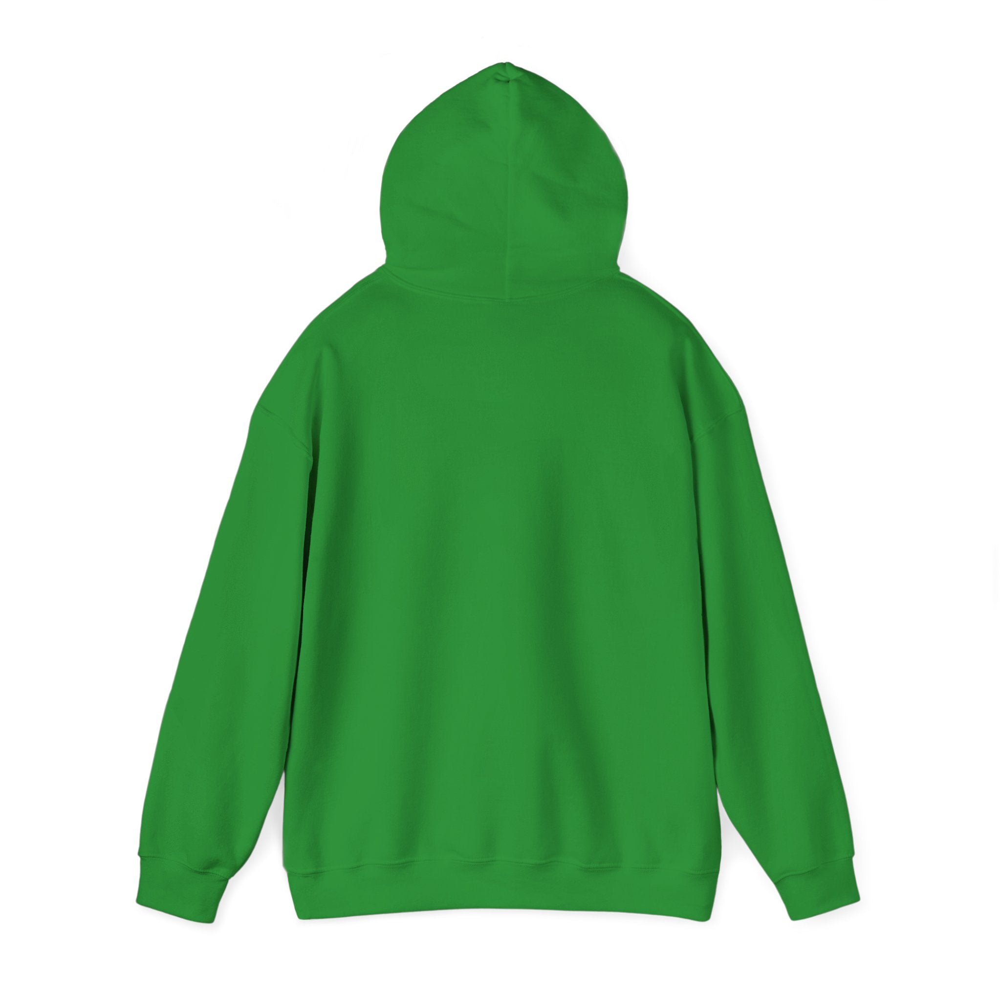 Wicked Witch of the West Hoodie, Unisex Sweatshirt for Halloween, Cozy Gift for Witch Lovers, Spooky Season Apparel, Unique Witch Design