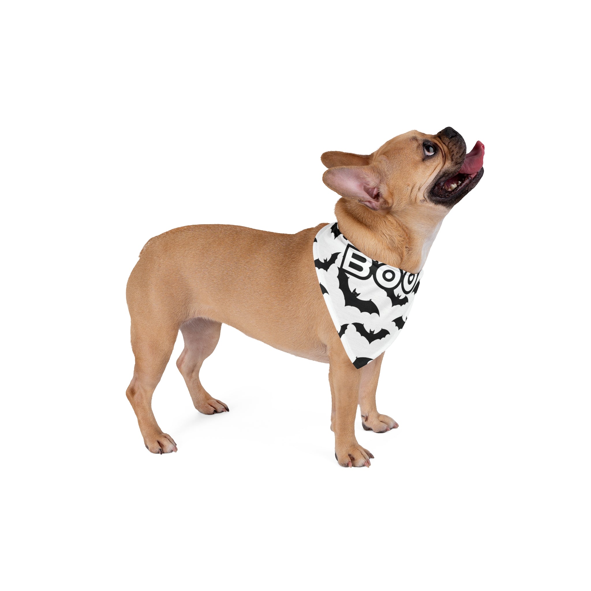 Spooky Pet Bandana for Halloween, Boo Dog Scarf, Pet Accessory, Fall Fashion, Cute Dog Outfit, Bat Print Bandana