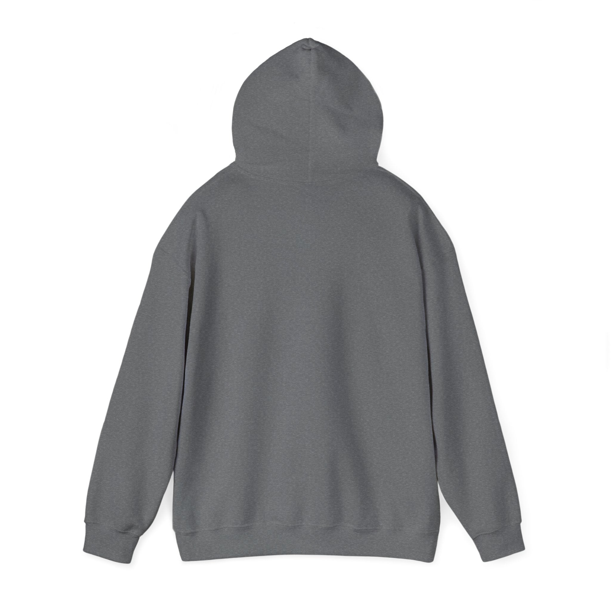Be Our Ghost Hoodie: Unisex Sweatshirt for Halloween, Cozy Casual Wear, Unique Gift, Fall Celebrations, Trendy Spook