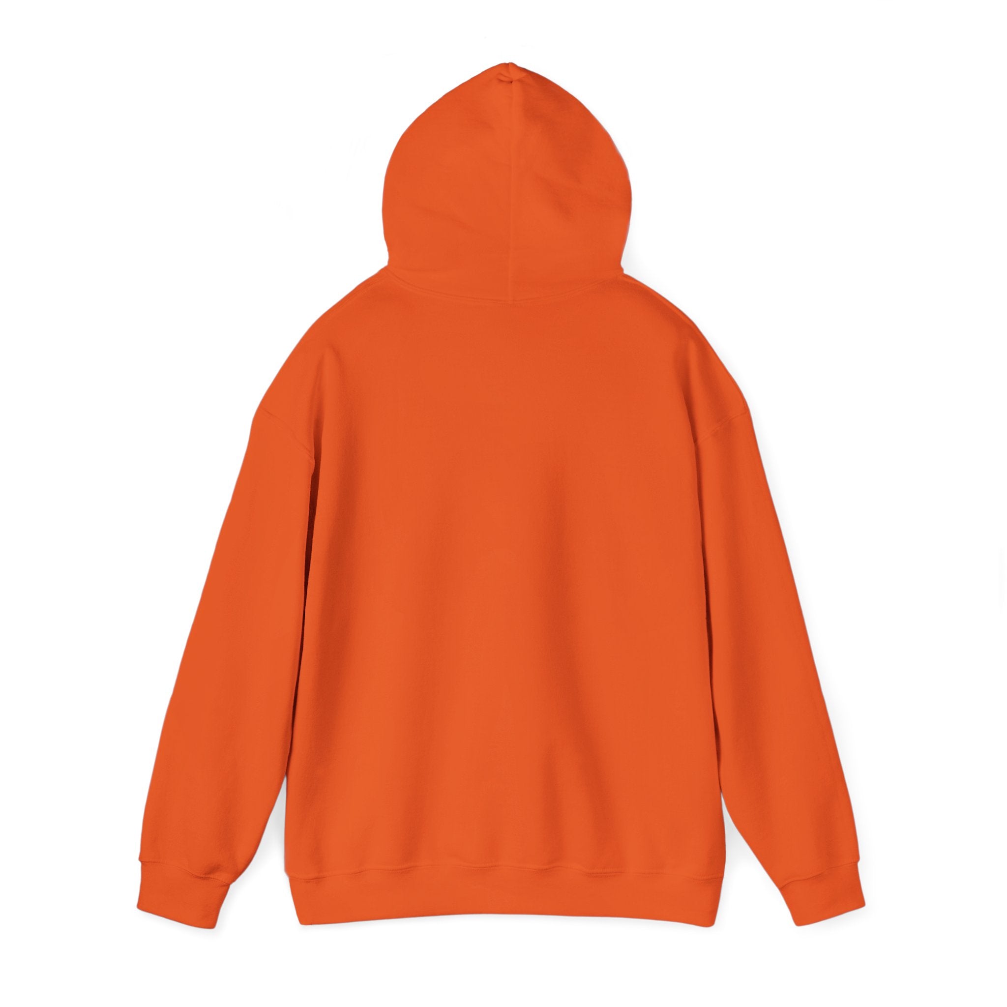 Wicked Witch of the West Hoodie, Unisex Sweatshirt for Halloween, Cozy Gift for Witch Lovers, Spooky Season Apparel, Unique Witch Design