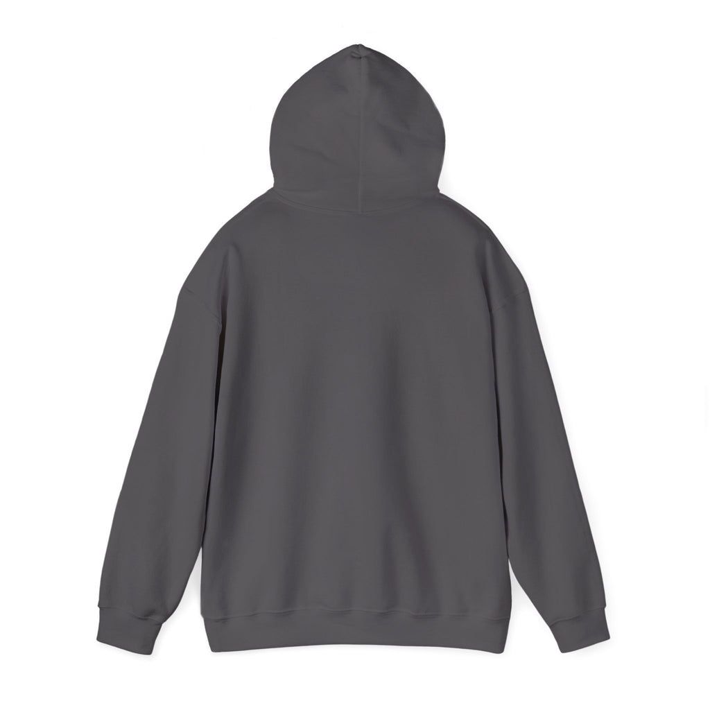 Wicked Witch of the West Hoodie, Unisex Sweatshirt for Halloween, Cozy Gift for Witch Lovers, Spooky Season Apparel, Unique Witch Design