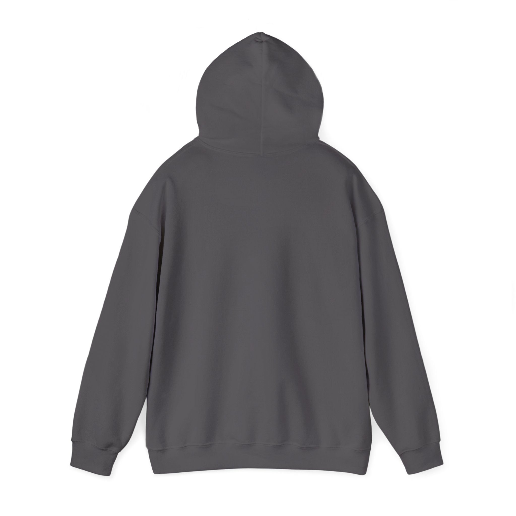 Wicked Witch of the West Hoodie, Unisex Sweatshirt for Halloween, Cozy Gift for Witch Lovers, Spooky Season Apparel, Unique Witch Design