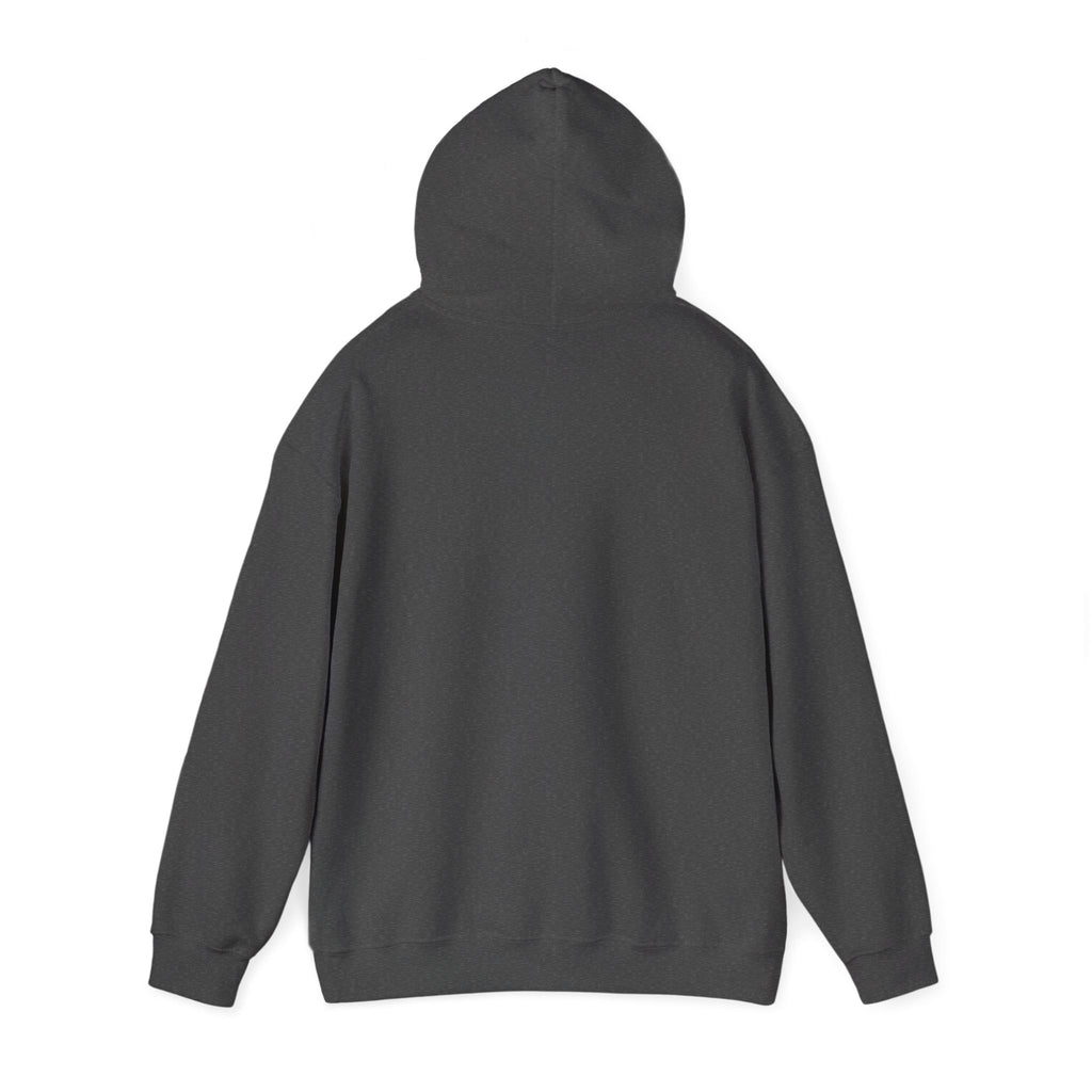 Wicked Witch of the West Hoodie, Unisex Sweatshirt for Halloween, Cozy Gift for Witch Lovers, Spooky Season Apparel, Unique Witch Design