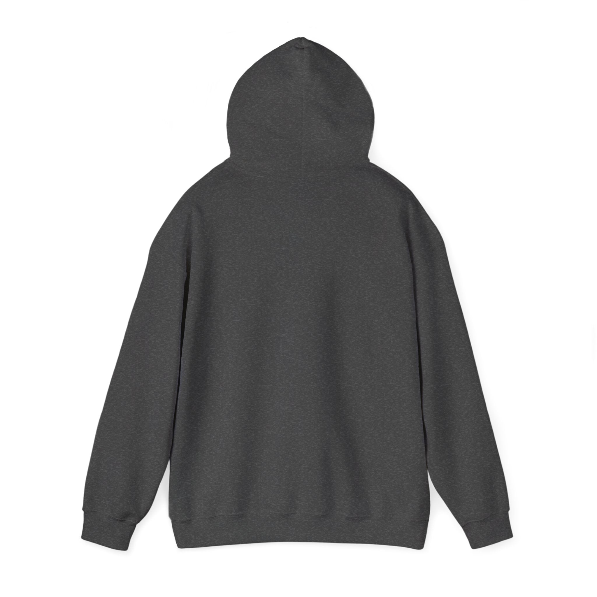 Wicked Witch of the West Hoodie, Unisex Sweatshirt for Halloween, Cozy Gift for Witch Lovers, Spooky Season Apparel, Unique Witch Design