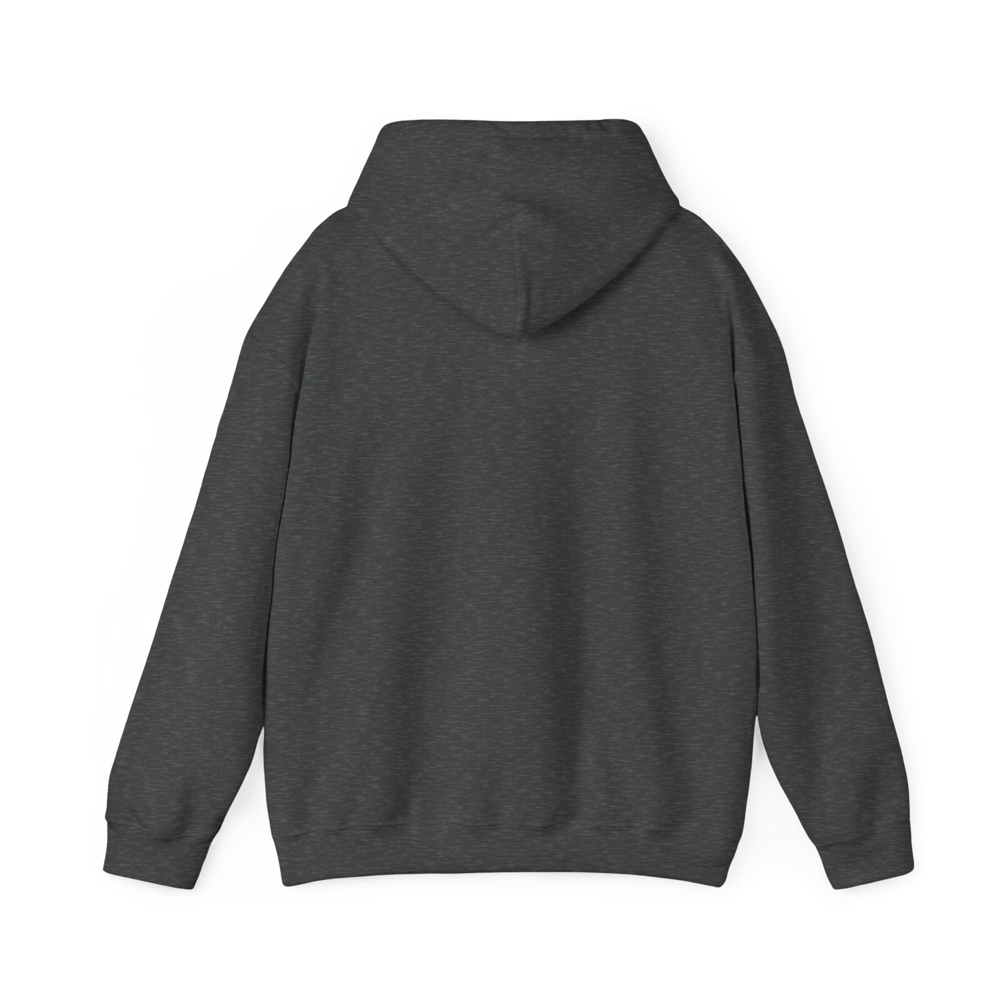 Wicked Witch of the West Hoodie, Unisex Sweatshirt for Halloween, Cozy Gift for Witch Lovers, Spooky Season Apparel, Unique Witch Design