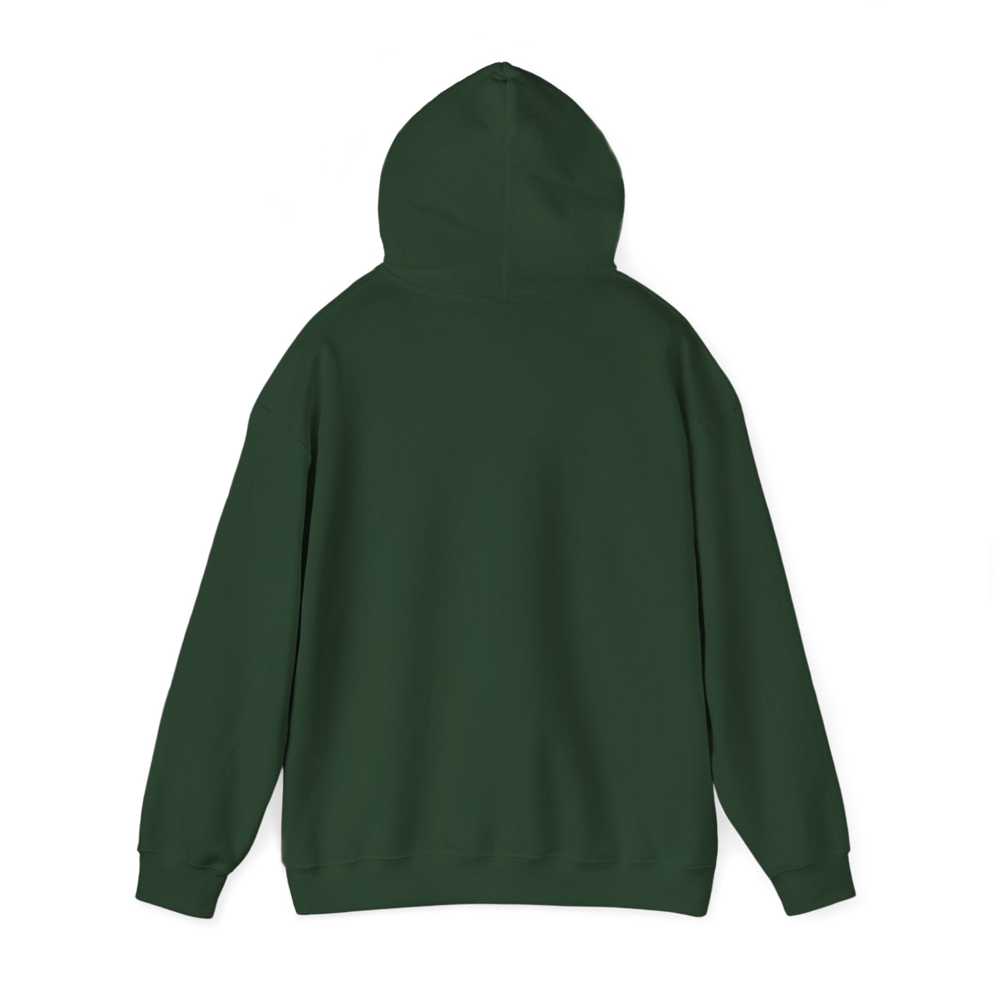 Wicked Witch of the West Hoodie, Unisex Sweatshirt for Halloween, Cozy Gift for Witch Lovers, Spooky Season Apparel, Unique Witch Design